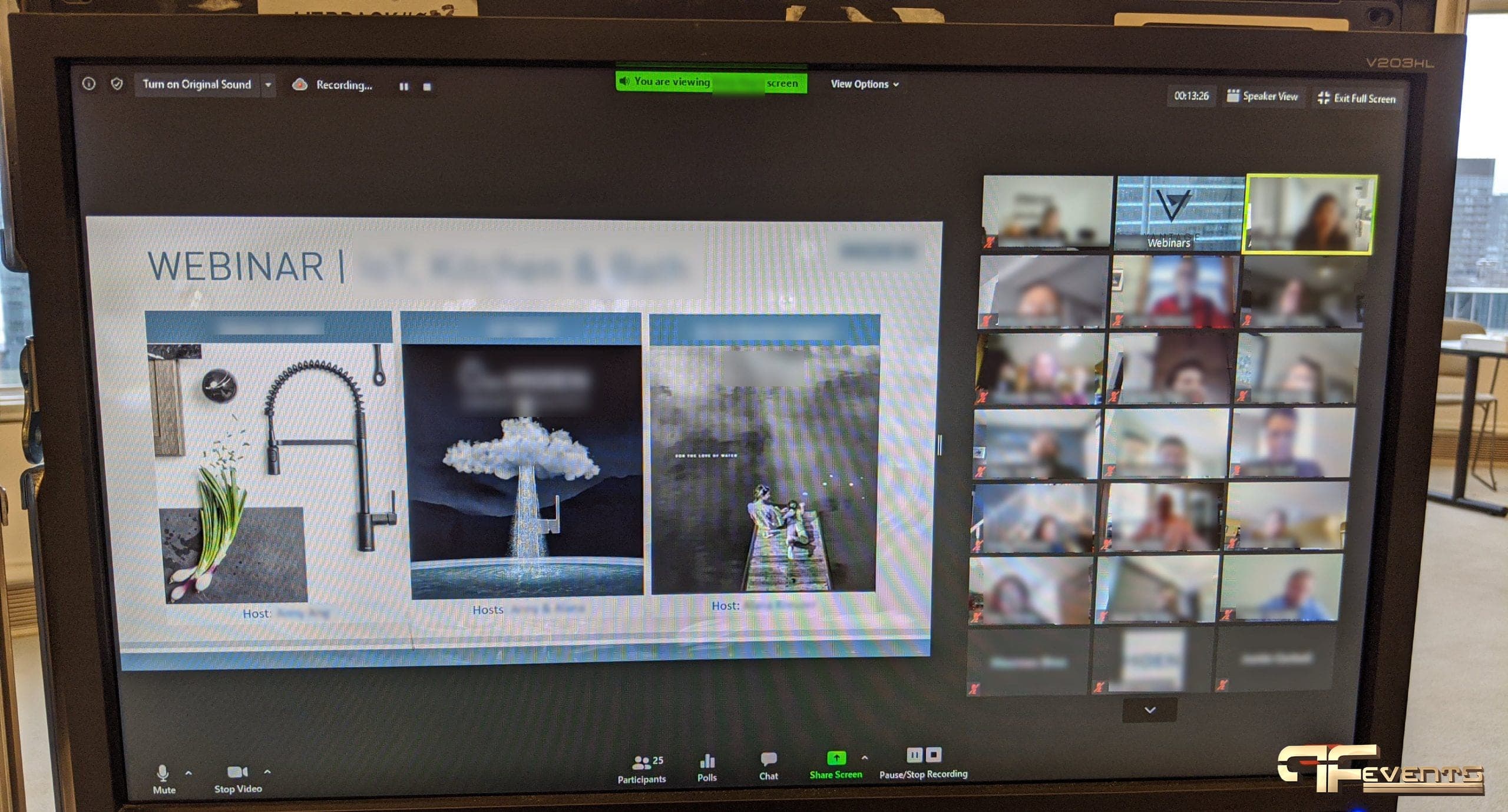 Webinar Conferencing